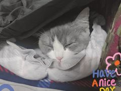 -爱侣宠医·鹦鹉专科·小型哺乳类·异宠专科(灵石路店)