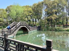 -尚湖风景区