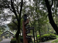 -南京老山国家森林公园