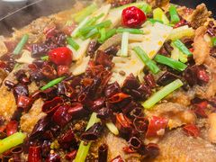 -老板恋上鱼(高新万达店)