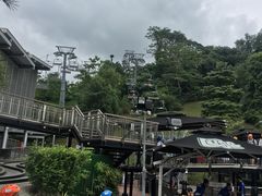 -圣淘沙天际线斜坡滑车