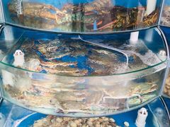 -东戴河风景区-止锚湾