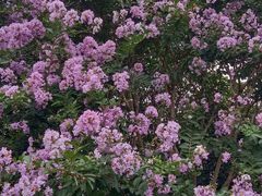 -杭州城北体育公园