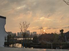 -洋湖国家湿地公园