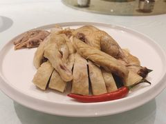 三黄鸡-得尔乐大酒店(南塘店)