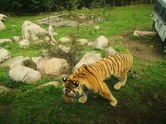 -西安秦岭野生动物园