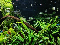 -上海海洋水族馆