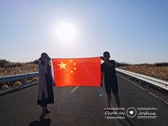 -金塔沙漠胡杨林景区