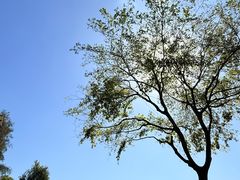 -佳丽海鲜大酒楼(环岛海景店)