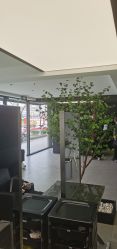 -付军剪艺JF ProSalon