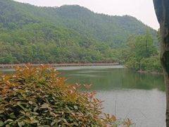 -桃花岭景区