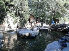 -燕塞湖鸟语林景区