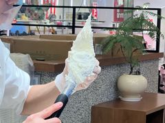 -野人先生Gelato(上海长宁龙之梦店)