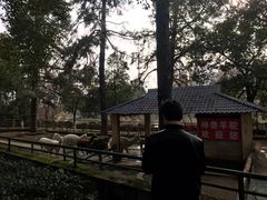 -豪爵足道·SPA(二七路店)