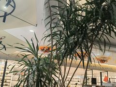 -野人先生Gelato(上海长宁龙之梦店)