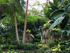 -北京植物园-展览温室