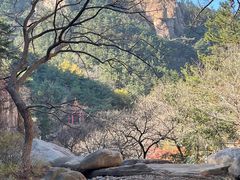 -崂山九水游览区