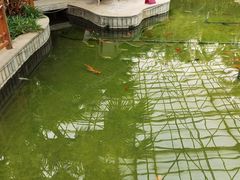-寿山福海养老服务中心(石景山院)