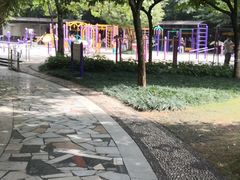 -金花茶公园