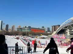 -沈阳奥体冰雪嘉年华