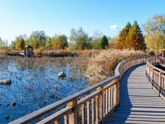 -羊亭河湿地公园