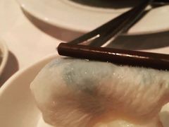 -食为先(Shark Fin)