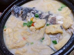 鱼头炖豆参-浔庐餐厅•江西老字号•九江菜(南湖国际店)