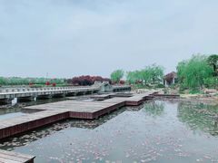 -上海鲜花港