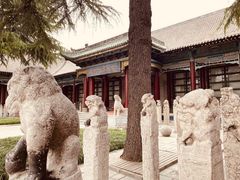 -西安碑林博物馆