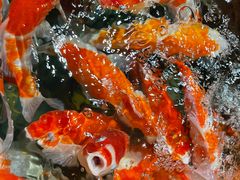 -太平洋海底世界