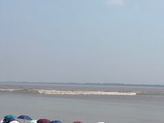 -观潮胜地公园