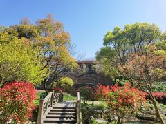 -桃花岛风景旅游区
