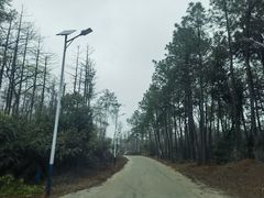 -象山森林公园