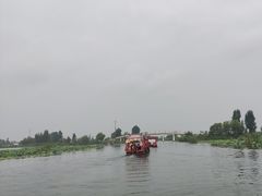 -白洋淀景区