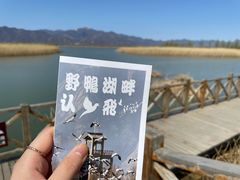 -野鸭湖国家湿地公园