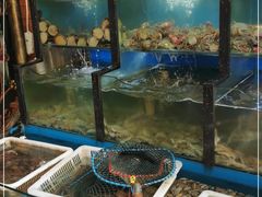 水产区-老东镇啤酒屋海鲜加工·蒸汽海鲜·海鲜烧烤(台东店)