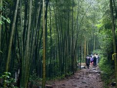-莫干山风景区