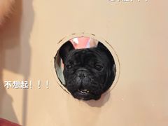 -和它·交个朋友·狗咖猫咖(爱琴海店)