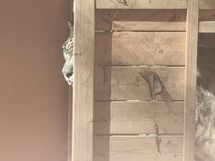 -青藏高原野生动物园