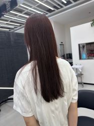 -蚂蚁造型俱乐部