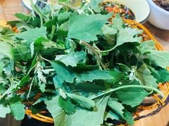 -杨记山珍鸡煲菌汤锅