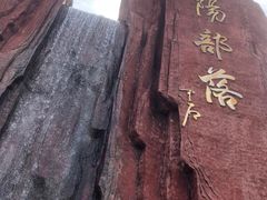 -太阳部落