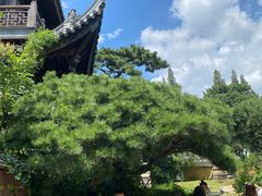 -龙华素斋(龙华路店)