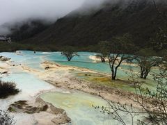 -黄龙山原始森林景区