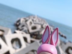 -东疆建设开发纪念公园