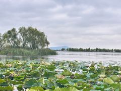 -苏州太湖湖滨国家湿地公园