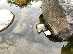 -白云源风景区
