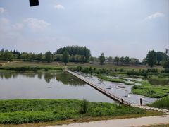 -洨河生态公园