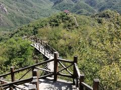 -大岭沟猕猴桃谷风景区