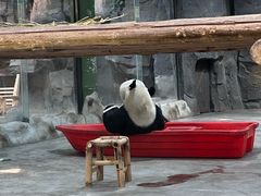 -栾川竹海野生动物园